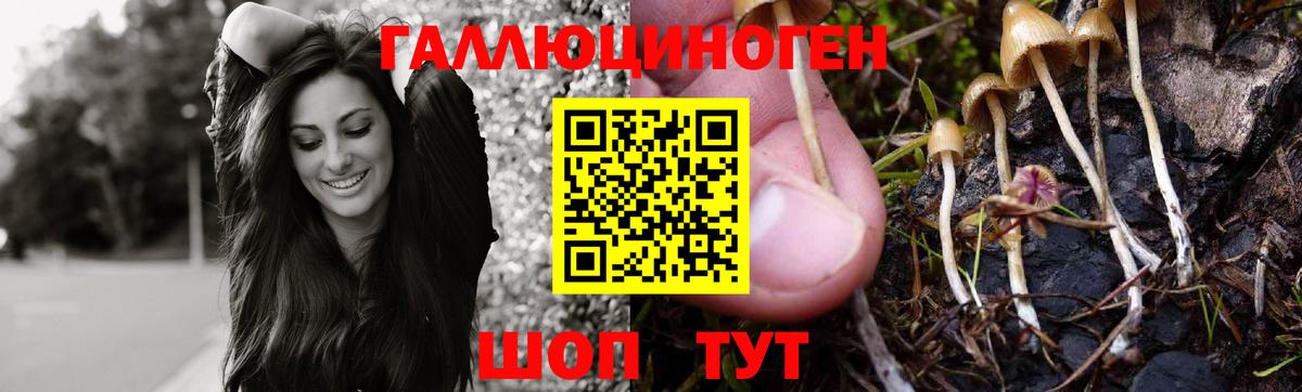 Галлюциногенные грибы мухоморы  Псилоцибиновые грибы MAGIC MUSHROOMS  где можно купить наркотик  Вход с VPN  Саянск 